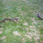 Takto tam na mňa čakali