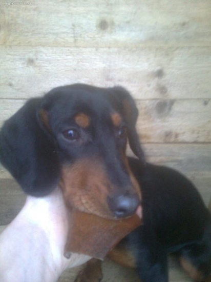 konecne sa dala odfotit