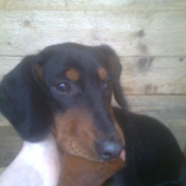 konecne sa dala odfotit