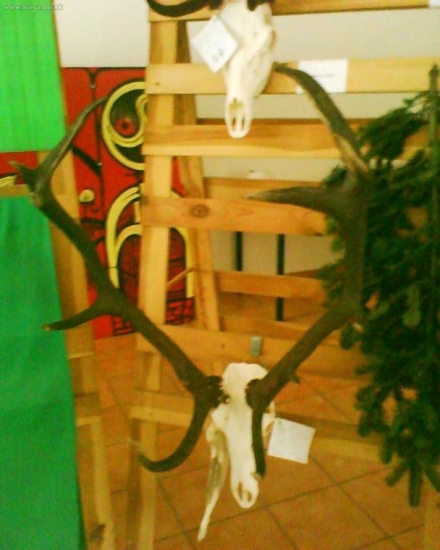 polovnicka vystava.ok.Gelnica