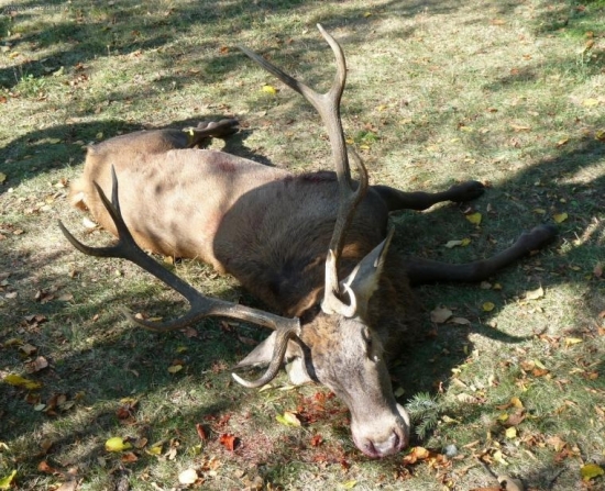 Kamarátov včerajší