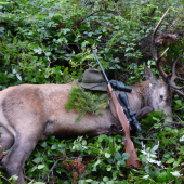V piatok rano stáli Diana a Sv. Hubert pri mne 2