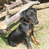 Hugo Komjatické jazero