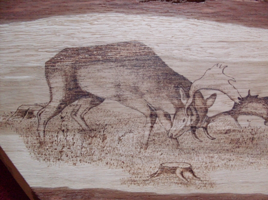 kamošova práca(detail)