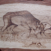 kamošova práca(detail)