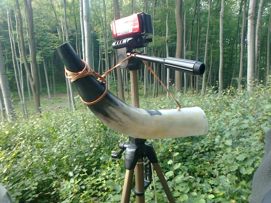 včerajší večer strávený na rujovisku :)