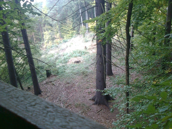 Výhlad :) do rúbane :)