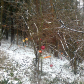 Veselé Vianoce a krásne prežitie sviatkov ! :)