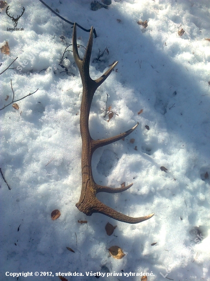 magický dátum 4.3