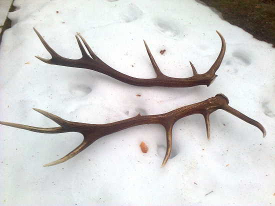 tu sú už spolu :) Moja prvá pára