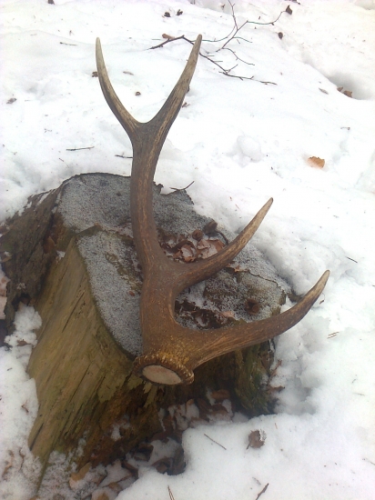 naj. tento rok(spomienka)