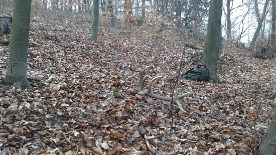 na slniečku ležal sa vyhrieval :)