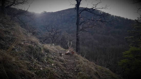 ... Ked slniečko vychádza...