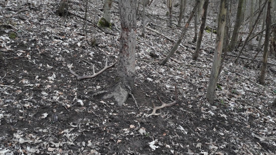 ,.Prvý Jarný Deň.,