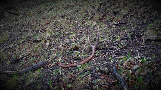 Do páru k Apriláčkovi....