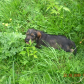 môj nový pomocník