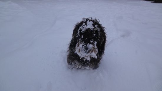 další na ochlazení - moje Renda