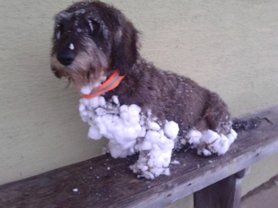 sněhu jsi užíváme