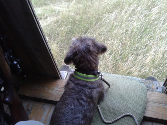 Nebyl by tam padák?