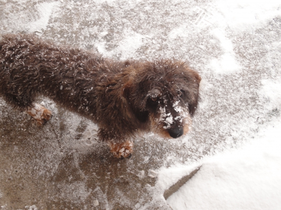 Tak a máme tu jaro, a nebo zase zimu?