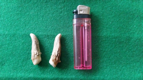 Aj takové sa dajů nájít