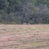 ďalej pre istotu nejdeme
