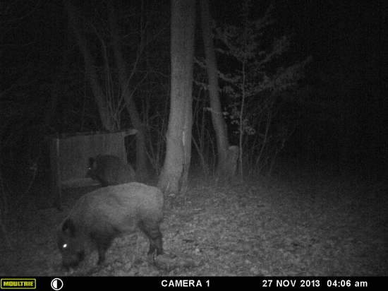 Majú tam ešte dačo?