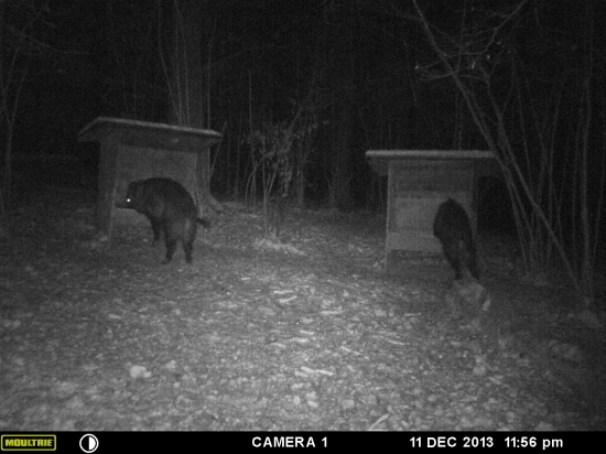 maš tam dačo?.........  a ty?