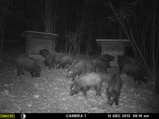 To musel prísť každý .... :)