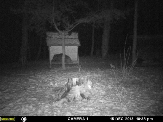 A tu budem čakať kým dačo mi neprinesú