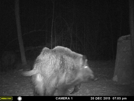 viš kde mi pozri ....