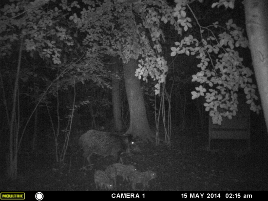 už so myslel že sa odsťahovali