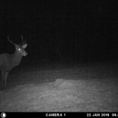 Je tam keď ja som doma...