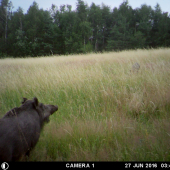 Vôbec som sa nevyspala...