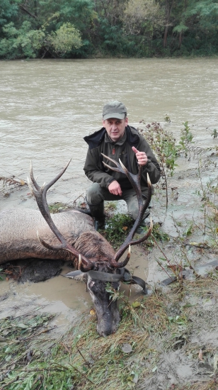 sanitárny odstrel po predchadzajúcej zrážke s autom