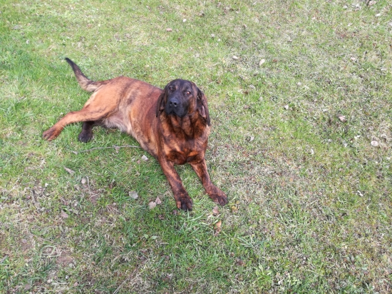 Moja nová posila ELA 7 mesiacov