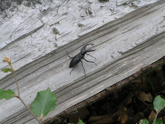 nemám čas na fotenie