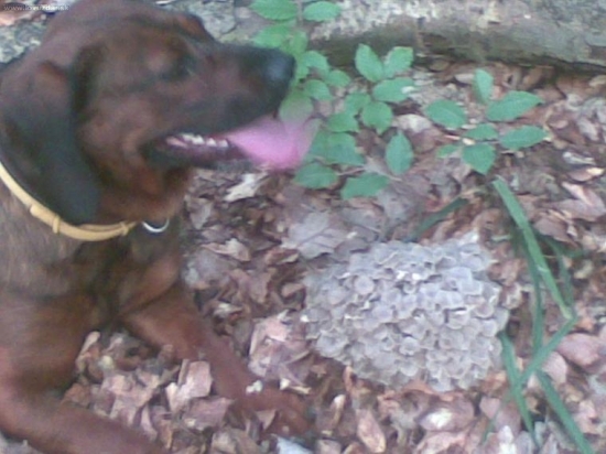 To čo si našla? Nato som ťa cvičil?