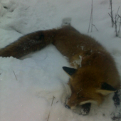 druhá v tejto sezóne