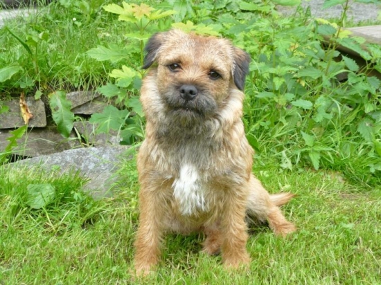 Bordik mojí přitelkyně