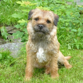 Bordik mojí přitelkyně