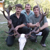 ruja 2011 207,26b