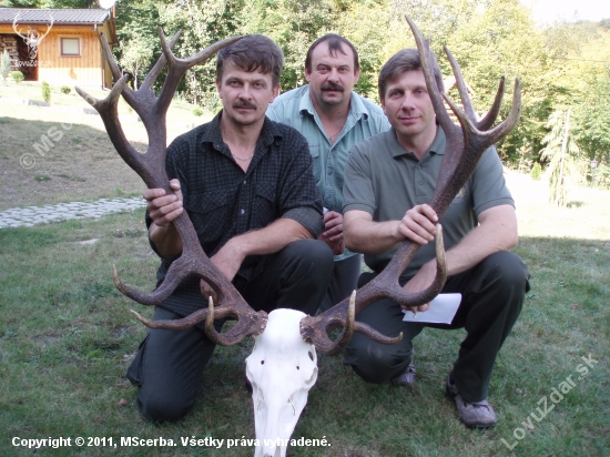 ruja 2011 207,26b