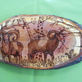 Muflóny