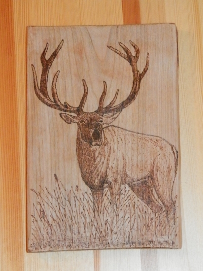 Ručiaci jeleň