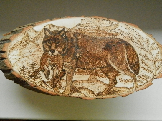 vlk s korisťou zajaca