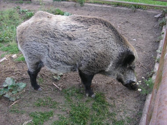 Náš maličký