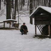při krmení