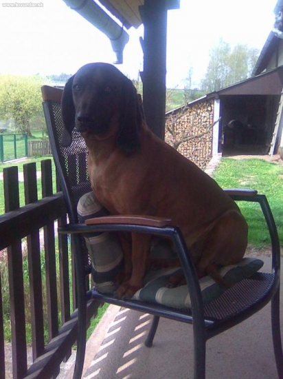 a teď já  .........