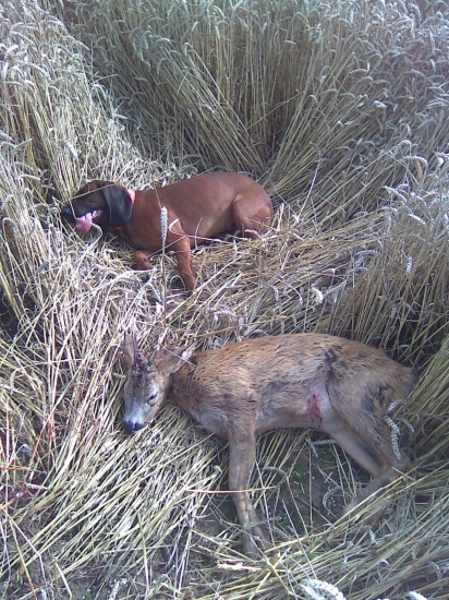 únava po práci.......